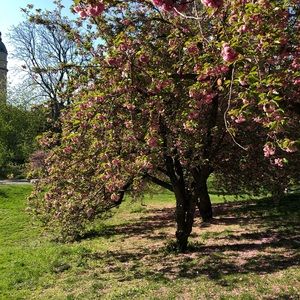 Meet your Posher, Marie